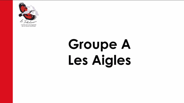 Diapo note de recommandation - Le Tichodrome 3/5