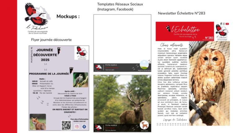 Diapo note de recommandation - Le Tichodrome 5/5